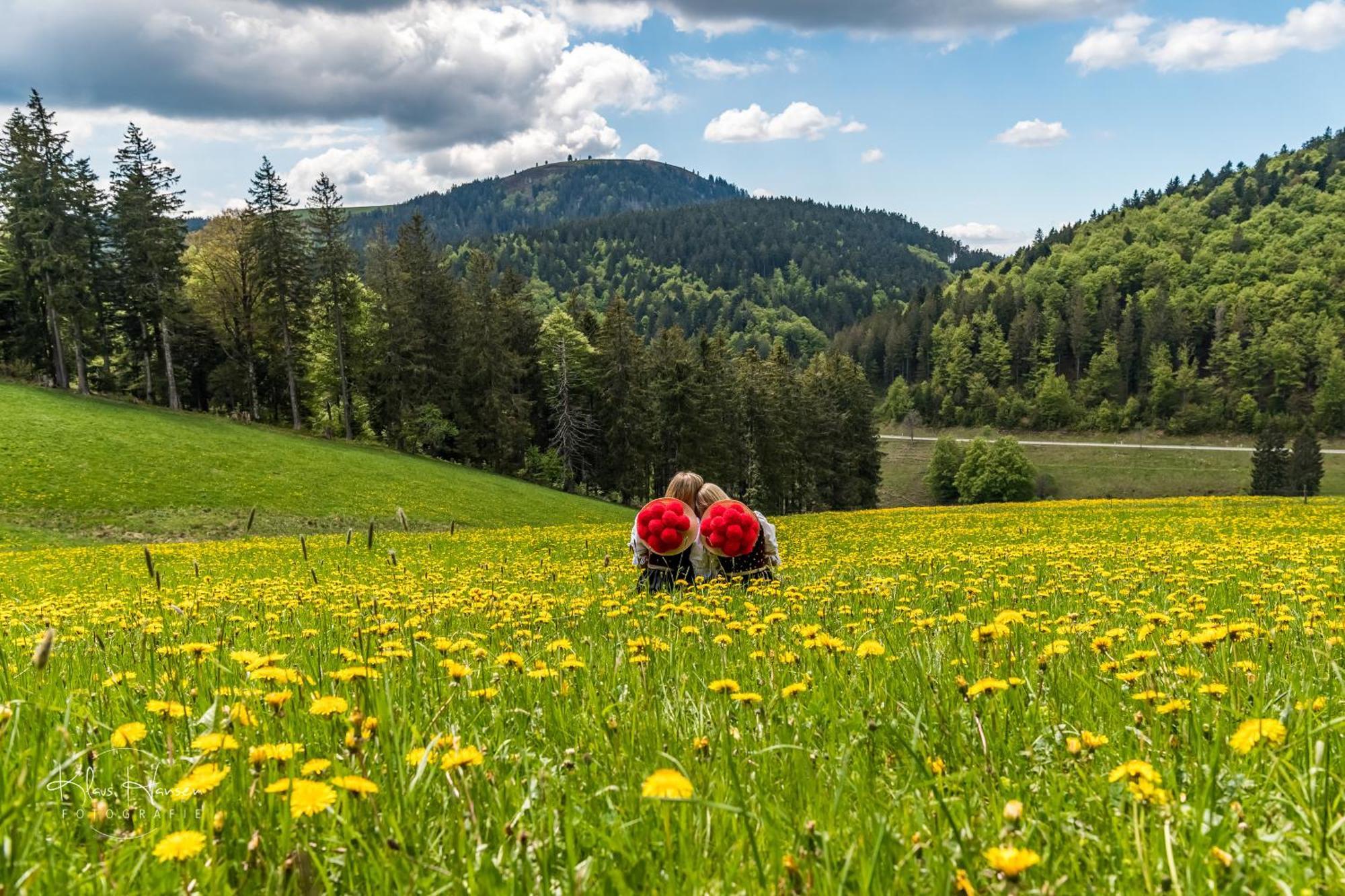 Willa Schwarzwaldhaus Sonnenstrasse, Oberried-Hofsgrund, Dreisamtal Oberried  Zewnętrze zdjęcie